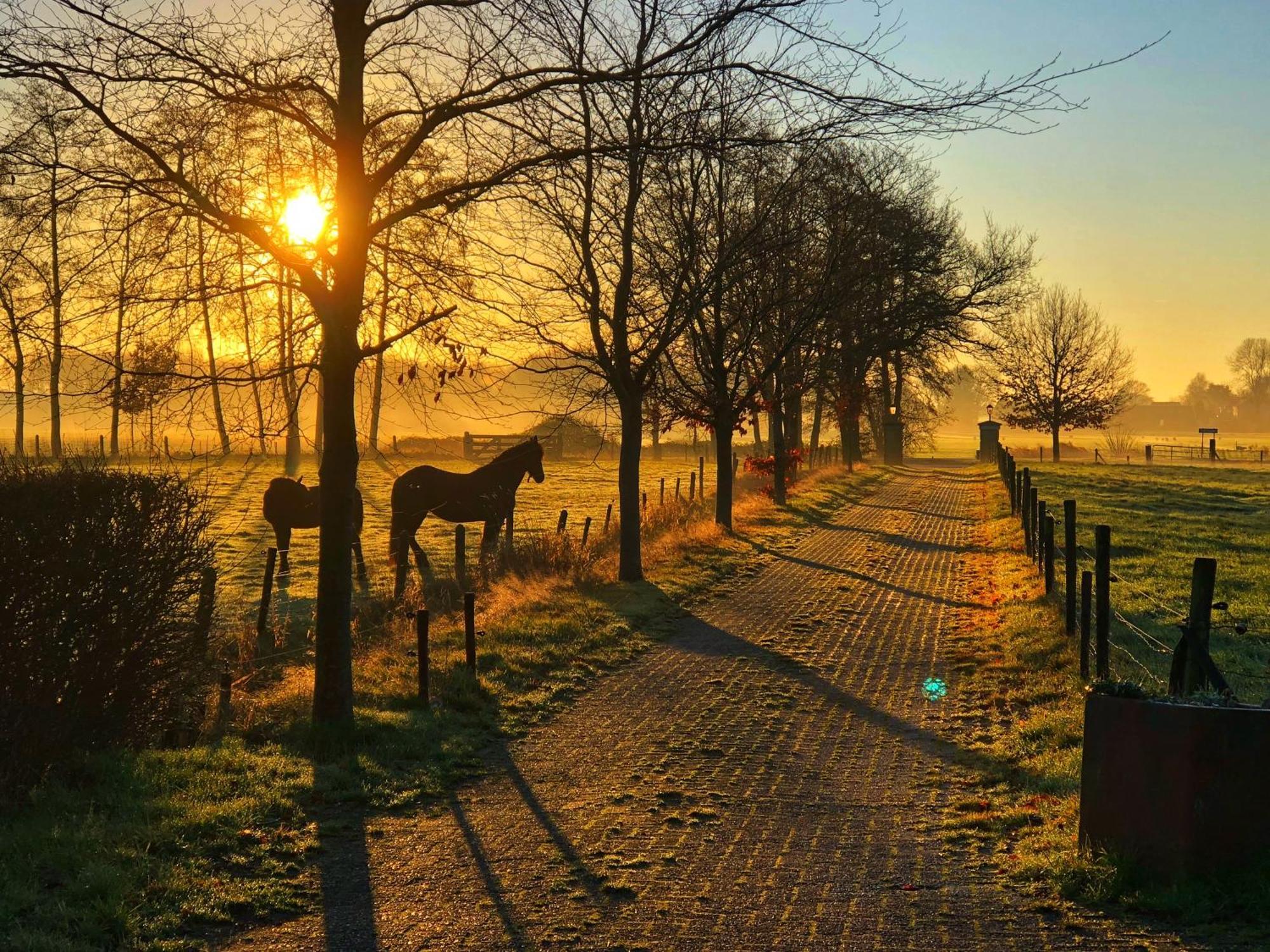 B&B Zandhuizen Exteriér fotografie
