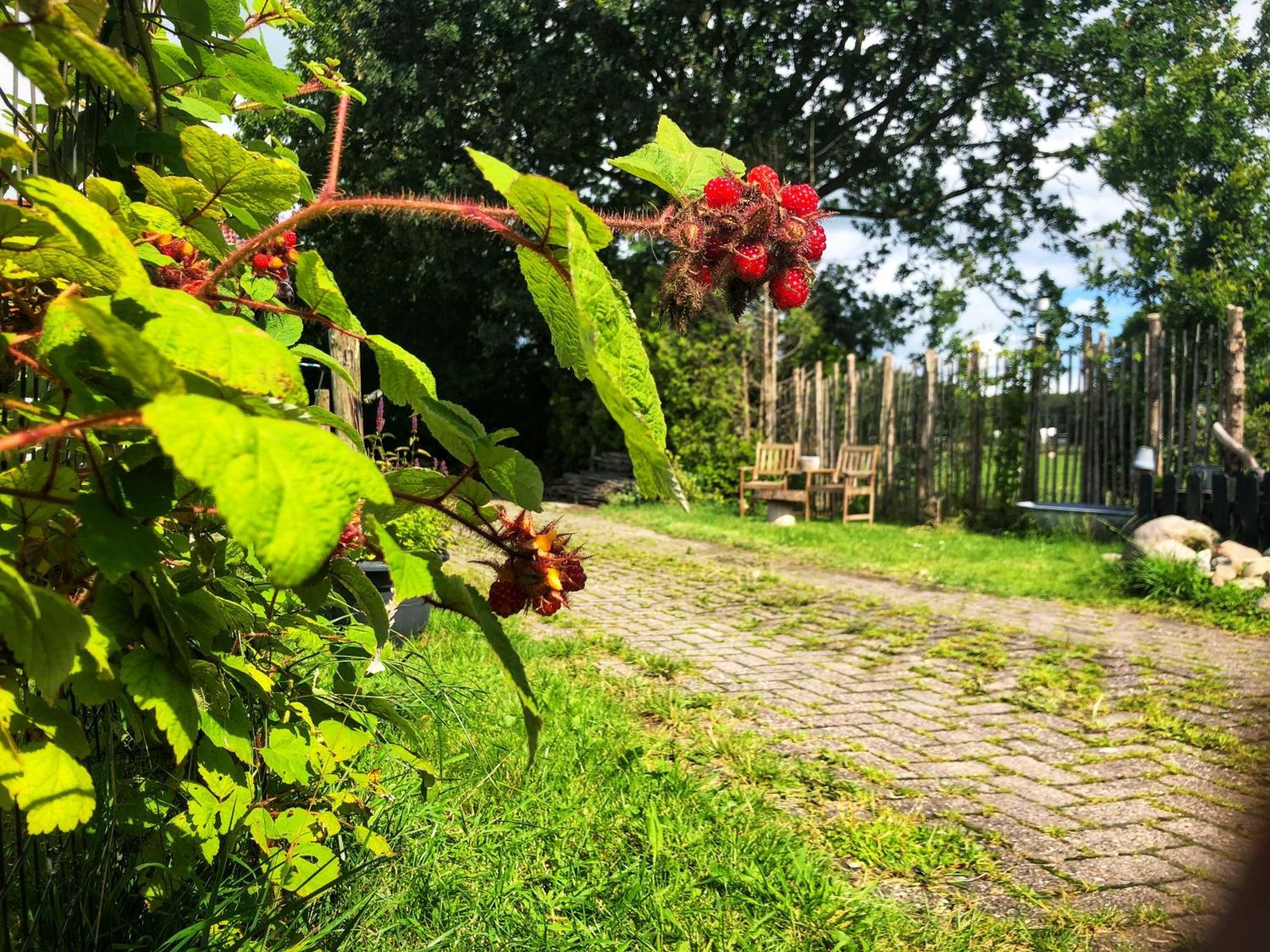 B&B Zandhuizen Exteriér fotografie