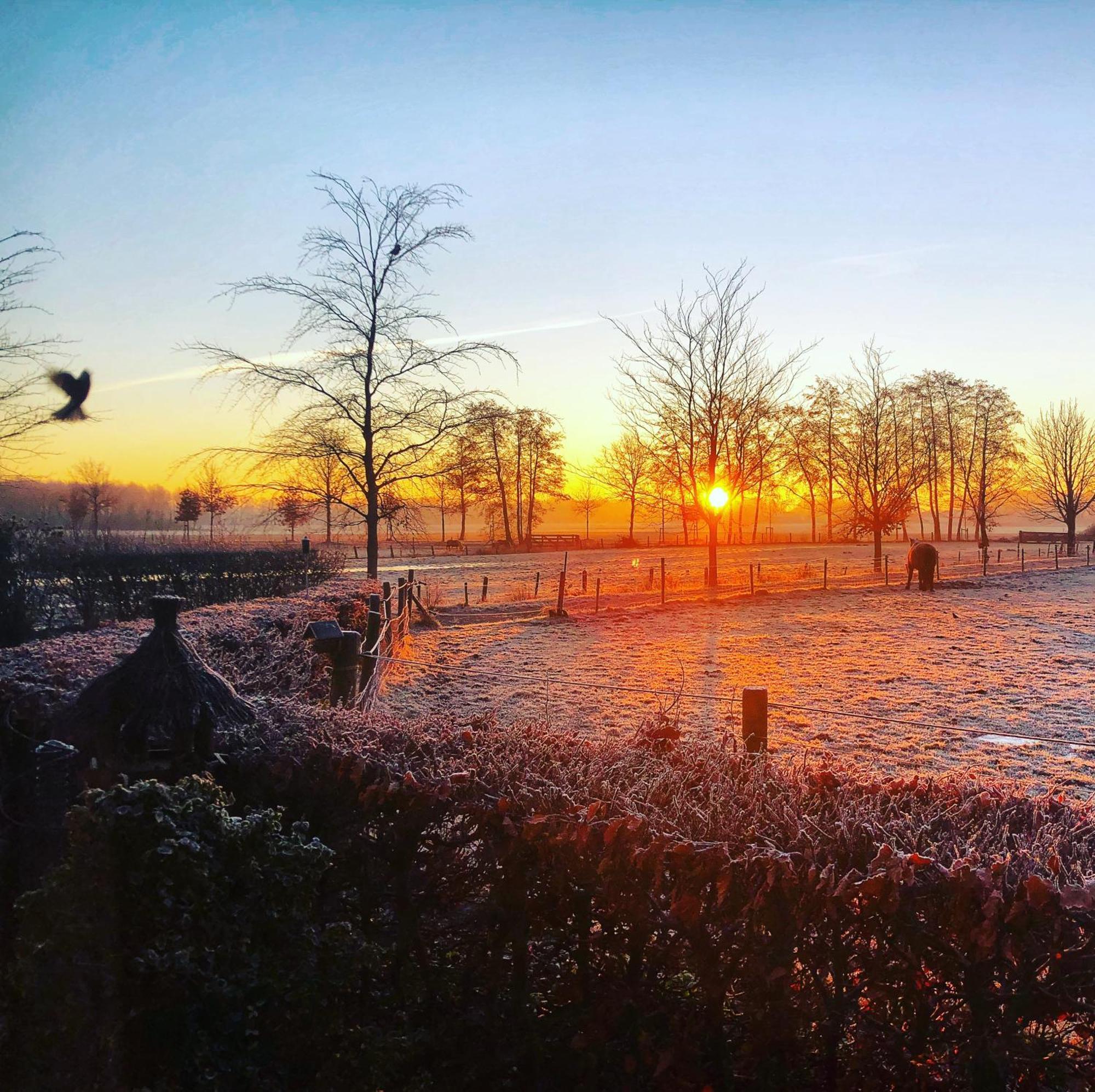 B&B Zandhuizen Exteriér fotografie