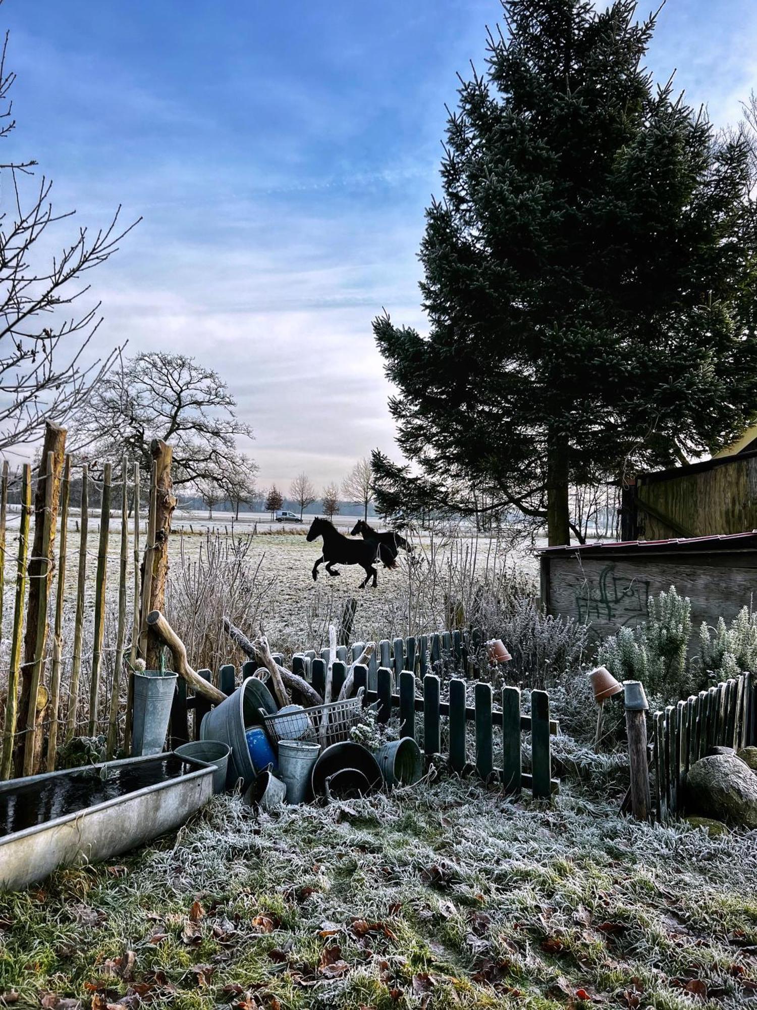 B&B Zandhuizen Exteriér fotografie