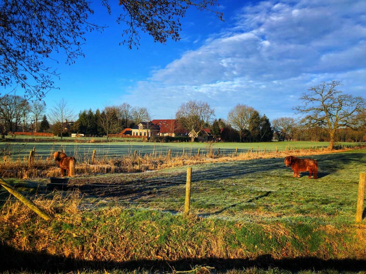 B&B Zandhuizen Exteriér fotografie